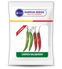 Chilli / Hot Pepper F1 Sarpan Balbheem 50 grams